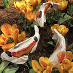 Kleurrijke Koi Tuinbeeldjes