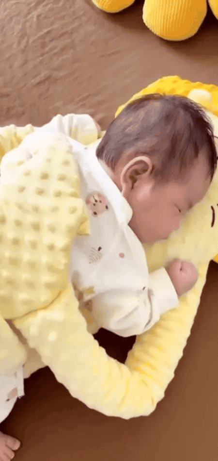 DroomNest Baby Slaper