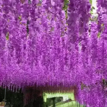 Orchidee Cascade Kunstbloemen | Voor tuin en evenementen