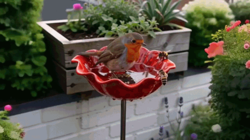 Metaal Klaproos Vogelbad